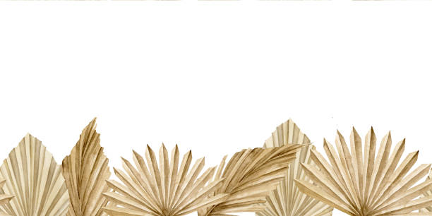 istock Watercolor seamless Pattern with Dried Palm leaves in boho style. Hand drawn Border with exotic tropical dry plants for frames or wedding invitations. Template on isolated background 1440485376