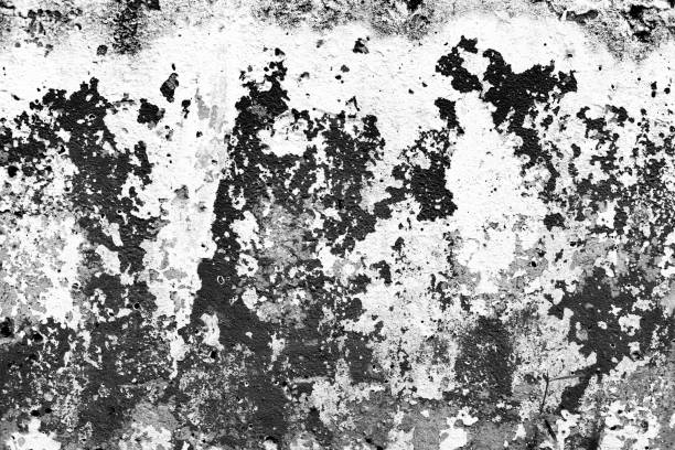 istock Black and white textra concrete plaster with peeling paint, shabby concrete surface photography 1440488436