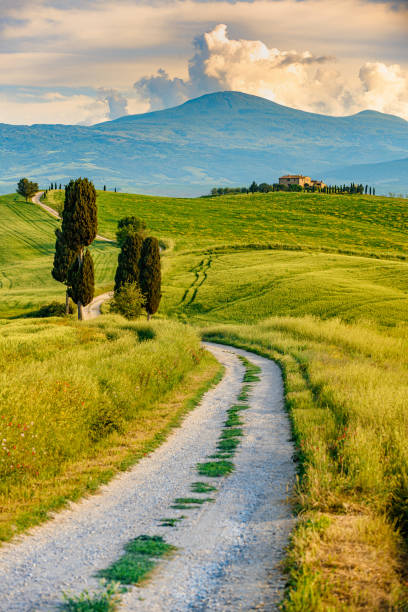 istock Tuscany Landscape with farmhouse - Val d'Orcia 1440490259