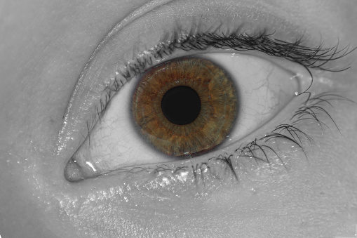 Human eye closeup, black and white photo with colored iris