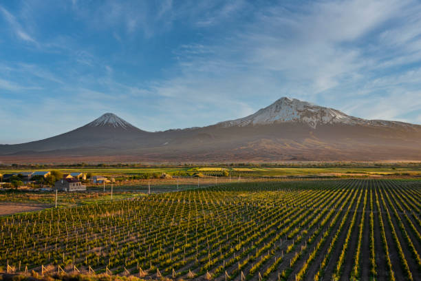 istock Panoramic view of the Ararat mountains green fields and Khor Virap monastery at the sunset. 1440491649