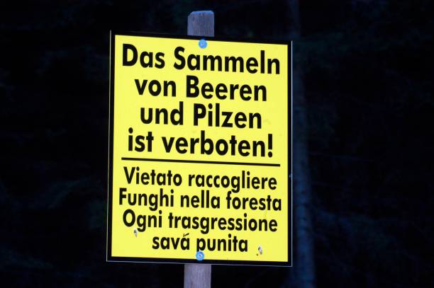 istock ban on mushroom picking sign 1440493121