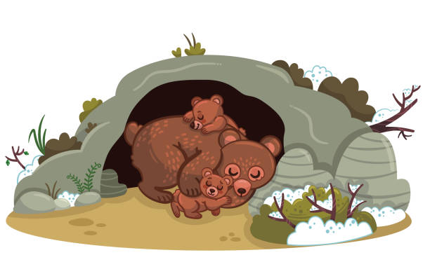 зимние сна - winter cave bear hibernation stock illustrations
