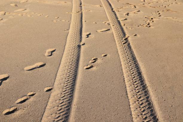 istock ATV quad tire tracks on sand 1440495956