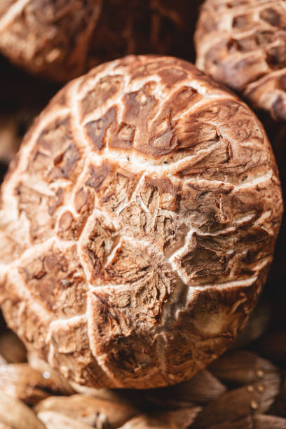 istock Mushrooms on wood board 1440496027