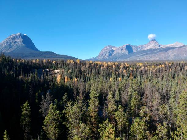 istock Banff national park seen from above in fall 1440504819
