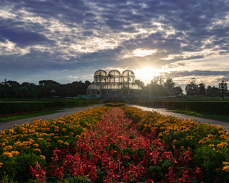 Sunrise in the Botanical Garden of Curitiba, Parana State, Brazil.