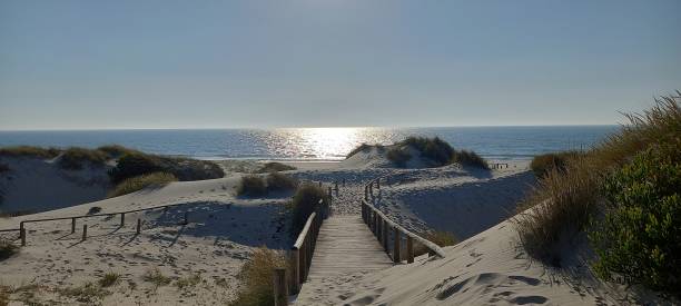 istock Near the sea 1440507694