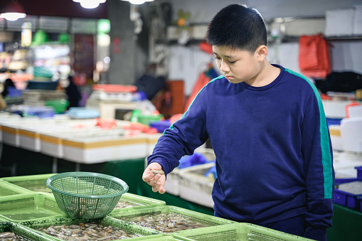 A little boy selects seafood in the market