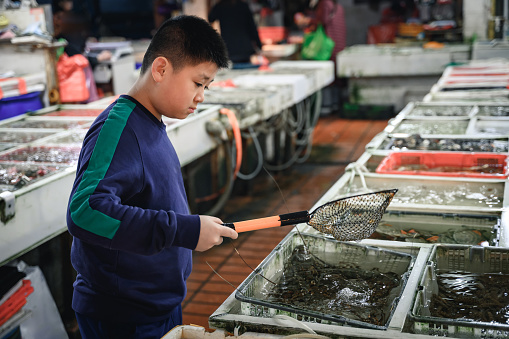 A little boy selects seafood in the market