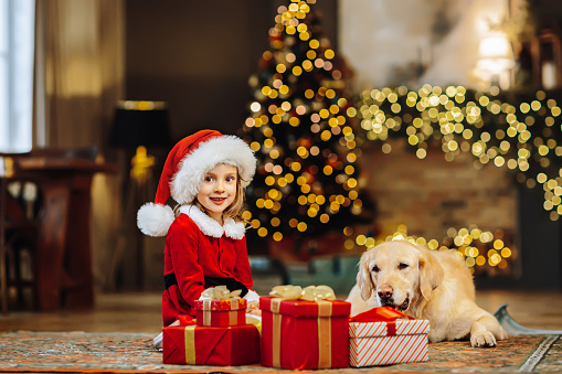 Little smiling girl with a golden retriever dog near christmas tree and a gift boxes.