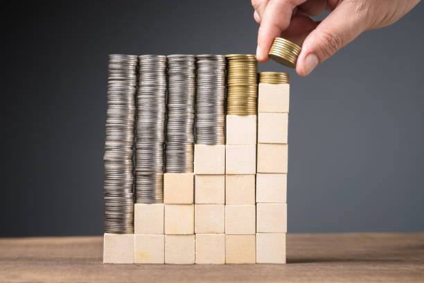 istock Subsidy money, long-term savings concept 1440513738