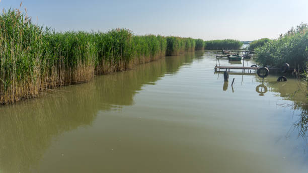 istock Natural landscape environment with local transportation boats. 1440515415
