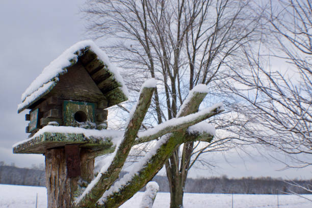 istock bird house on a tree stump in the winter 1440515748