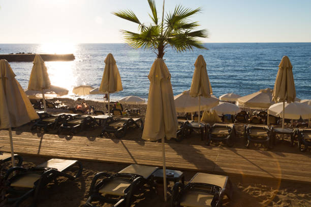 istock Sandy beach with umbrellas and sunbeds at sunset 1440515918