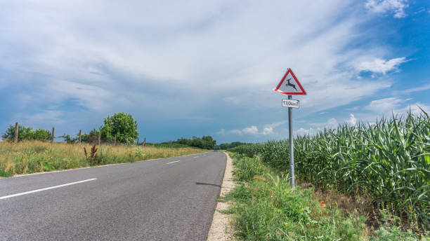 istock Straightway of empty road in the natural environment. 1440516198