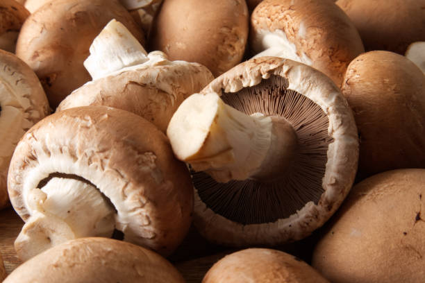 istock Brown cap champignons in different shapes and sizes close-up top view 1440518985