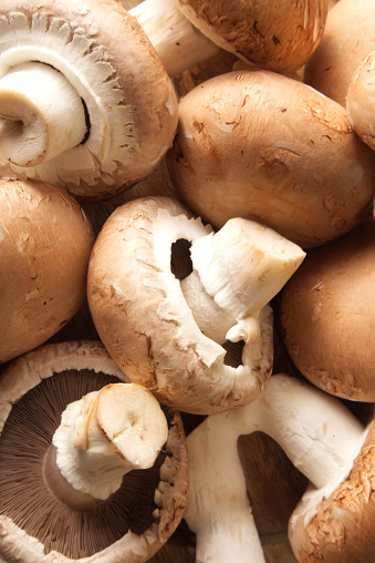 Brown cap champignons in different shapes and sizes close-up top view