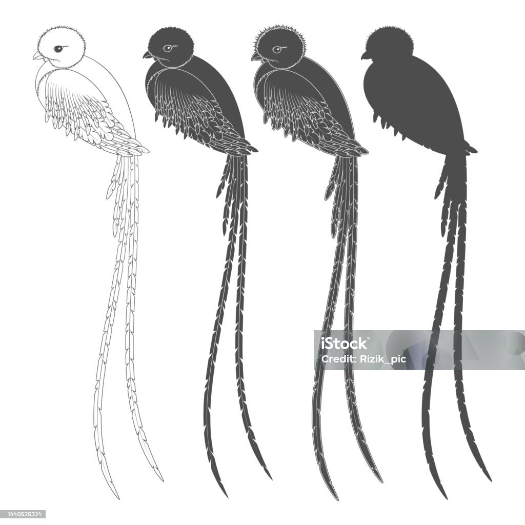 Chim sẻ chim sẻ Chim sẻ thường gặp Lark - chim đen png tải về - Miễn phí  trong suốt Con Chim png Tải về.