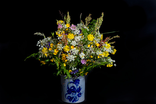Fresh flowers picked near the roads, The Netherlands. High quality photo