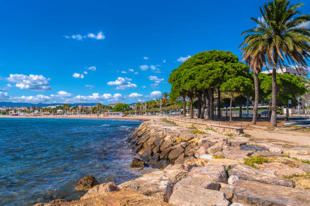 Promenade and palm trees Cambrils coast Spain Costa Dorada Promenade and palm trees Cambrils coast Spain Costa Dorada Catalonia Tarragona Province cambrils stock pictures, royalty-free photos & images