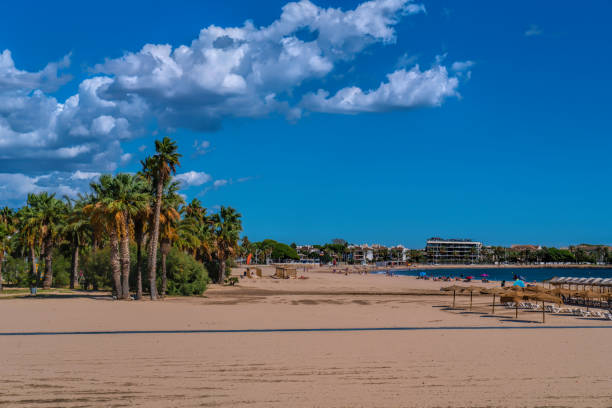 Palm trees Cambrils beach Spain Playa Prat d`en Fores Costa Dorada Catalonia one of the beautiful beaches on the Golden coast