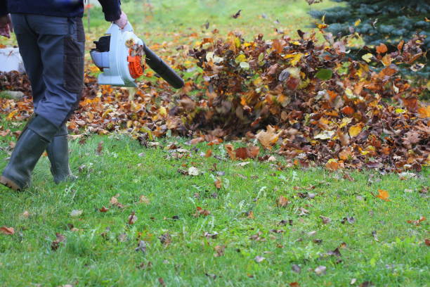 istock Worker cleaning falling leaves in autumn park. Man using leaf blower for cleaning autumn leaves. Autumn season. Park cleaning service. 1440529314