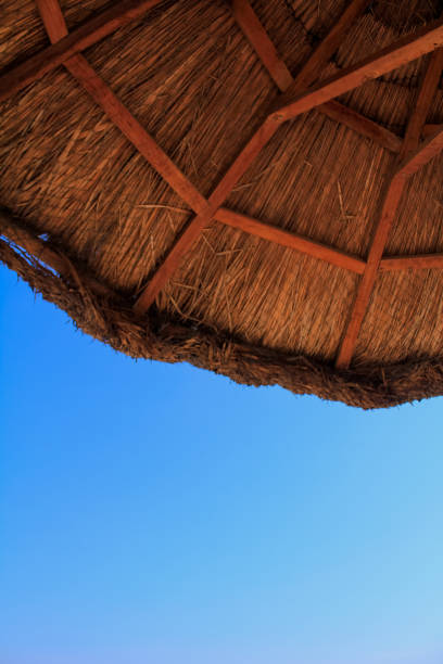 istock The edge of thatched patio Umbrella with blue sky 1440529530