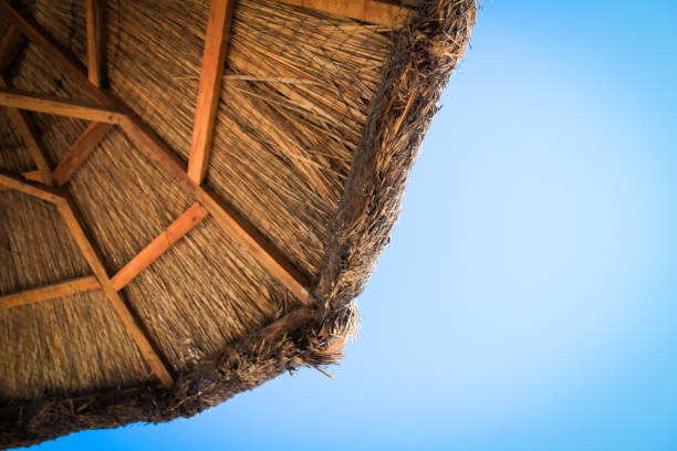 The edge of thatched patio Umbrella with blue sky The edge of thatched patio Umbrella with blue sky thatched roof hut straw grass hut stock pictures, royalty-free photos & images