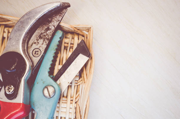 A top view of rusty gardening tools on a table