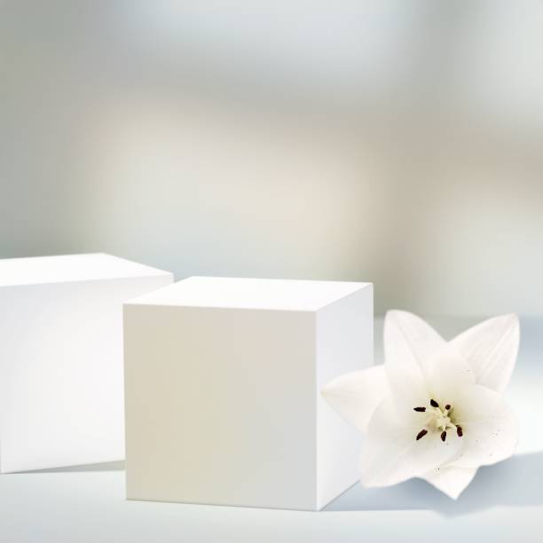 istock Empty cube podiums for product presentation with a beautiful flower. 1440532419