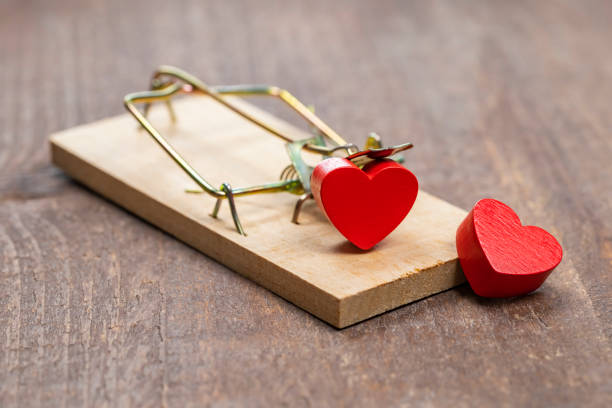Symbol in shape of heart in mousetrap stock photo