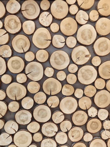 istock round teak wood stump background for decoration 1440533873