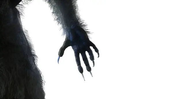 scary monster hand, furry werewolf paw for halloween background render 3d illustration on white background