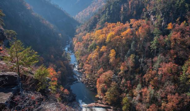 istock Drone shot of a river between mountains covered with fall foliage 1440534857