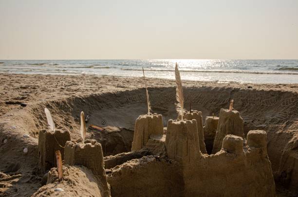 castello di sabbia con piume di uccello - cockle nature outdoors horizontal foto e immagini stock