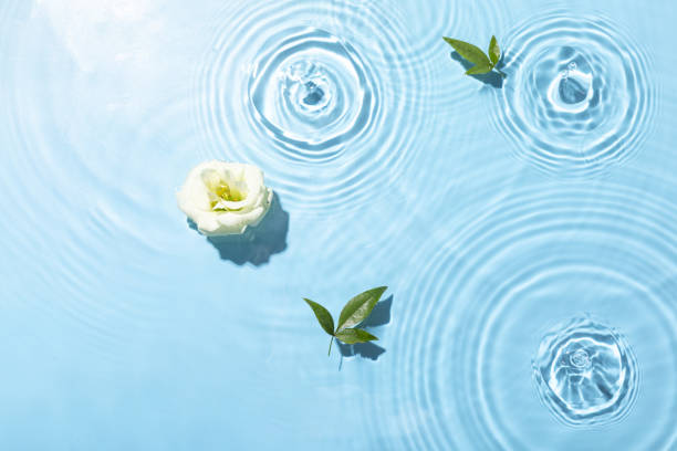 istock Top view closeup of waterdrops falling on the surface and forming a circular shape next to a flower 1440536409