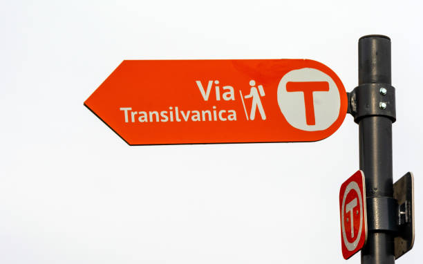 Walk sign white painted on the street, sunshine and shadows on the road, information sign for people, no person