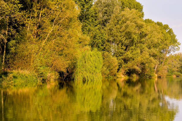 istock Beautiful wild Brenta River in North Italy 1440537374