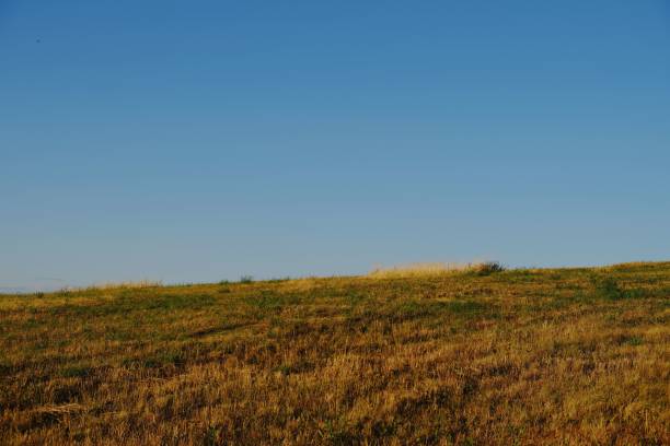 istock Beautiful view of a field with a blue sky background 1440537430