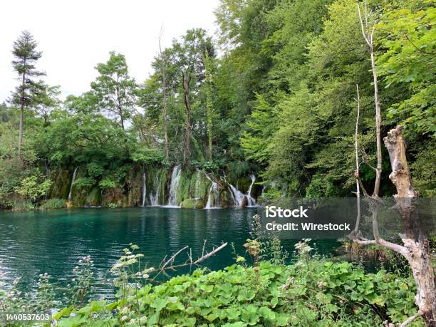 Crystal Clear Waters And Nature At The Plitvice Lakes National Park Stock Photo - Download Image Now