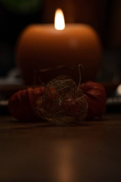 Chinese lantern, also known as Japanese lantern, Alkekengi officinarum, Bladder cherry, Ground cherry or Winter cherry, is a species of flowering plant in the nightshade family Solanaceae. It is  a perennial ornamental plant, with bright orange to red papery covering over its fruits, which resembles paper lantern.