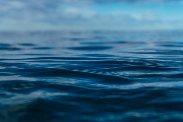 istock Beautiful view of splashing sea waves 1440539580