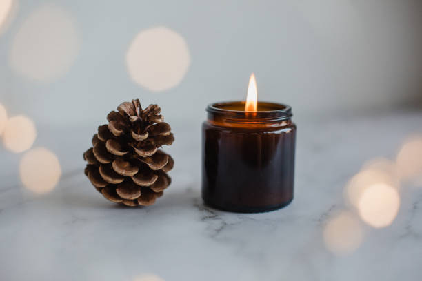 istock Closeup shot of pine cones on white background 1440539593