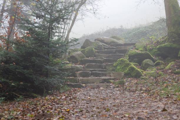 istock Old stone stairs in the fog 1440539906