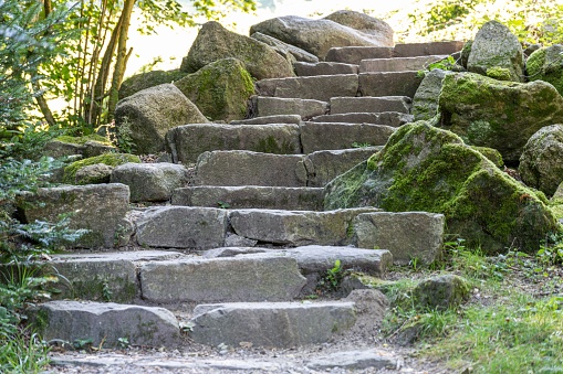 old moss-covered stone stairs in the forest