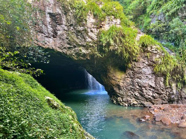 istock Grotto with a beautiful waterfall in the background in Springbrook National Park on a sunny day 1440541255