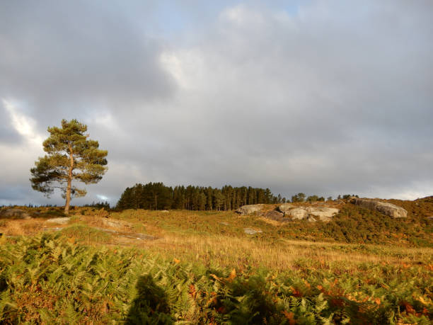 istock Galician countryside. 1440542415