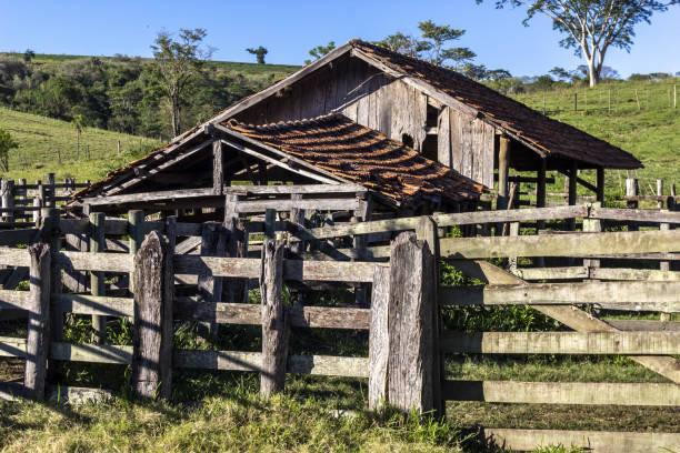 beautiful shot of an abandoned old wooden cattle stable in brazil - barn farm moon old imagens e fotografias de stock