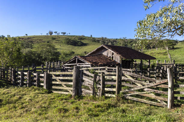 beautiful shot of an abandoned old wooden cattle stable in brazil - barn farm moon old imagens e fotografias de stock